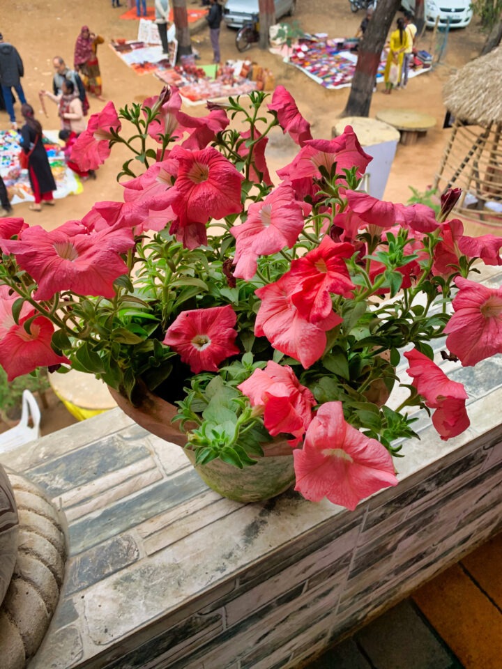 A potted plant with vibrant pink flowers sits on a stone ledge. Below, a bustling market with people and various goods is visible, along with a thatched-roof structure and vehicles parked nearby.